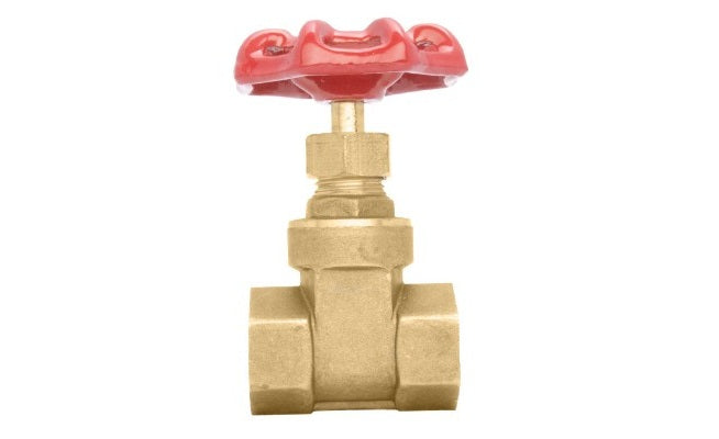 GATE VALVE 22MM