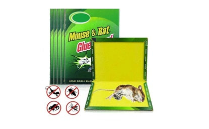 MOUSE BOOK GLUE TRAP